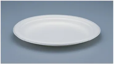 Chinet Teller aus Bagasse, weiss, Ø 17 cm